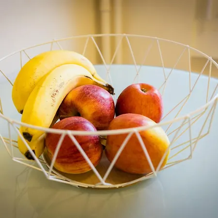 Swiss Flat شقة لوزان