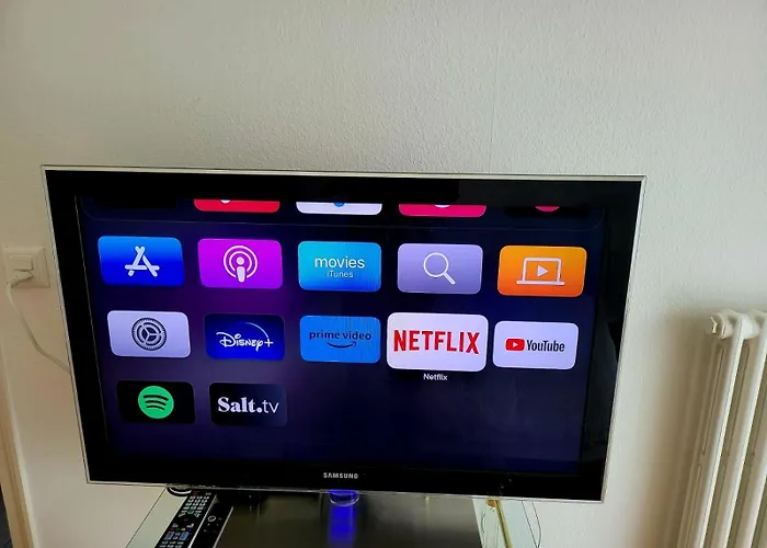 Swiss Flat * Lausanne